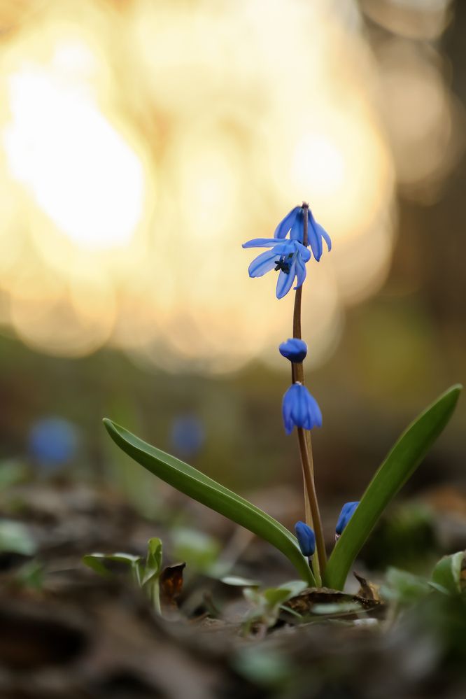 Photograph by Сергей Кравченко