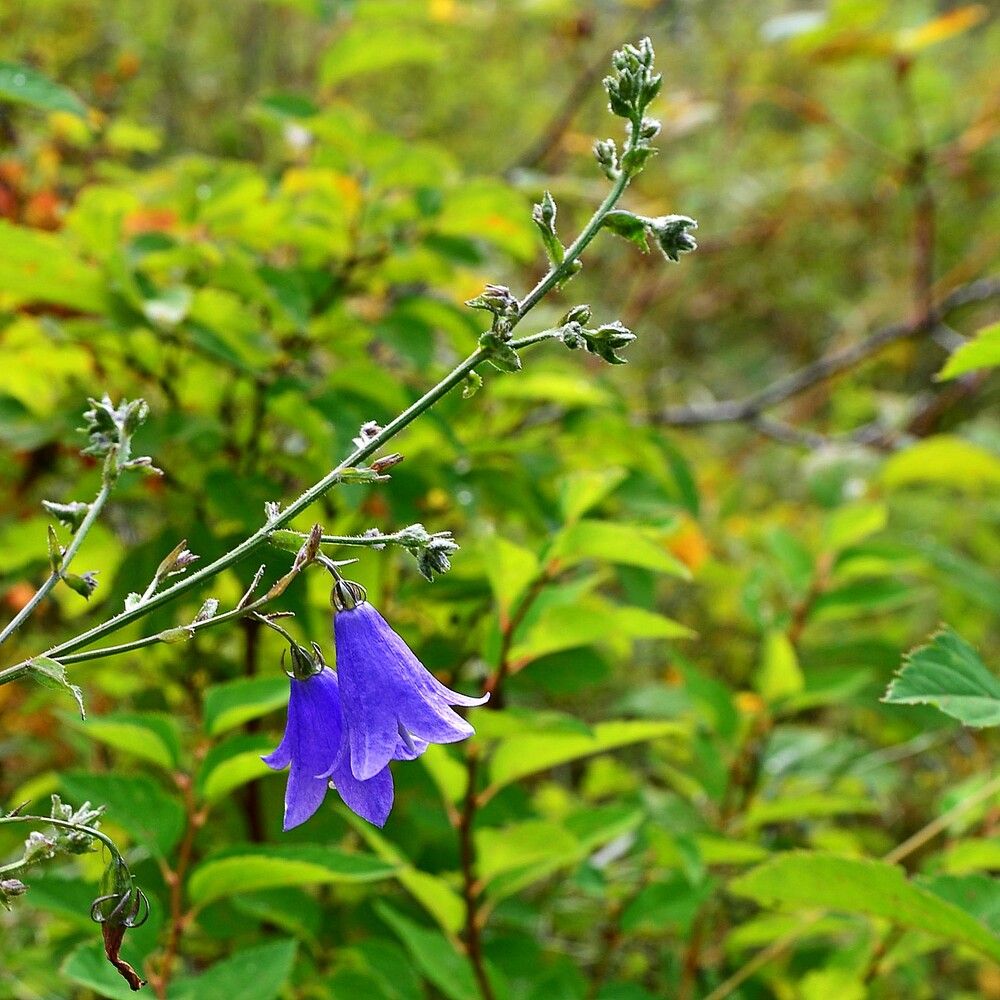 Photograph by Людмила