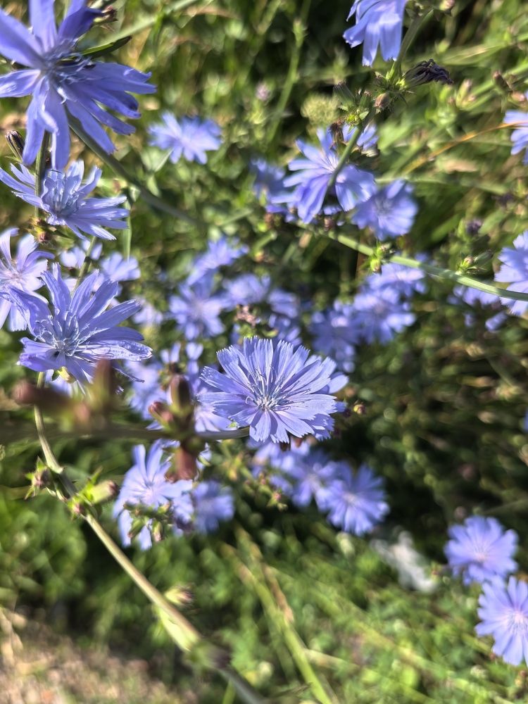 Фотография автора Александр Сипаров