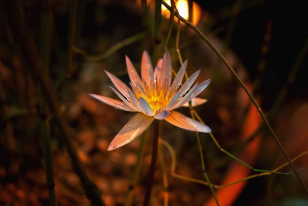 Фотография автора Александра