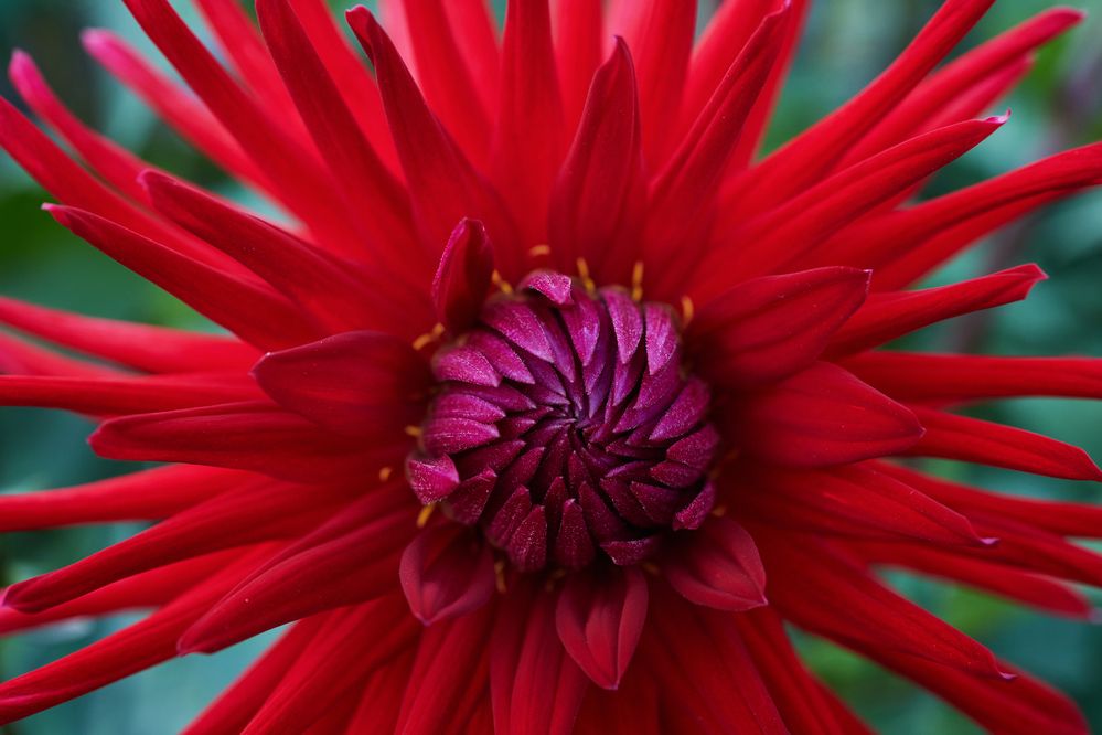 Photograph by Елена