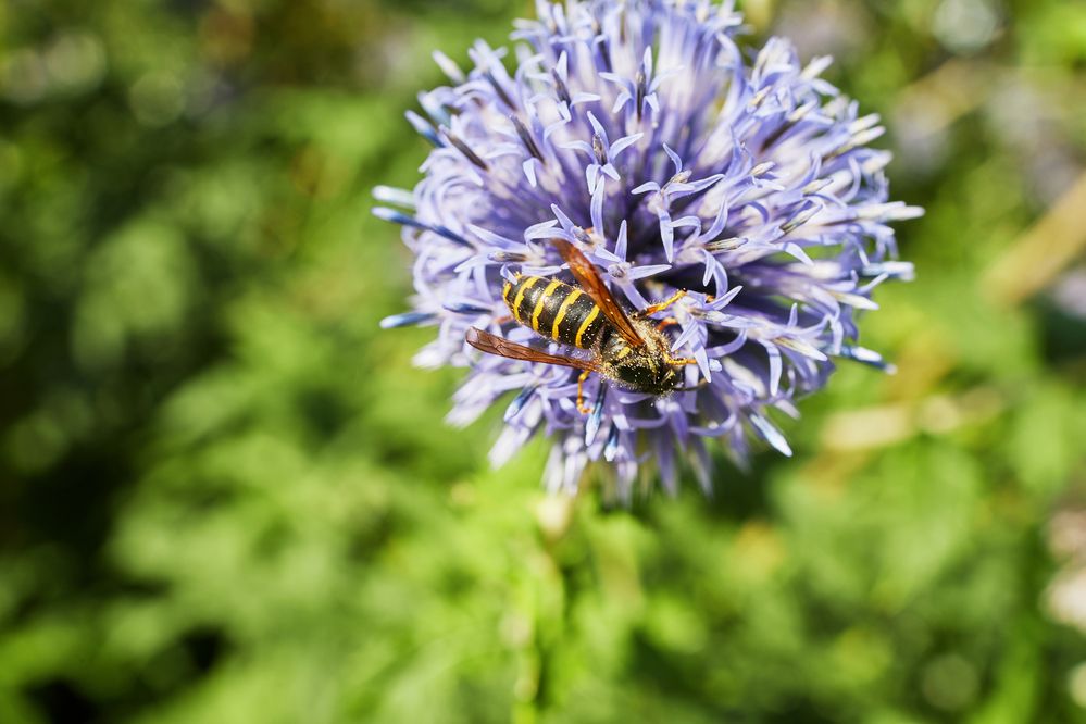 Photograph by Елена