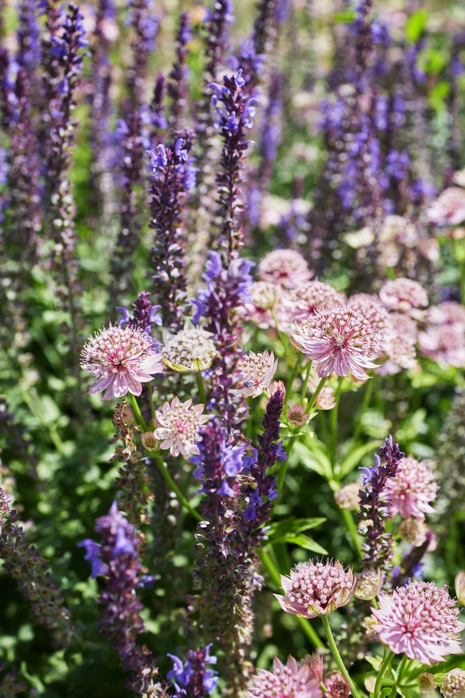 Photograph by Елена