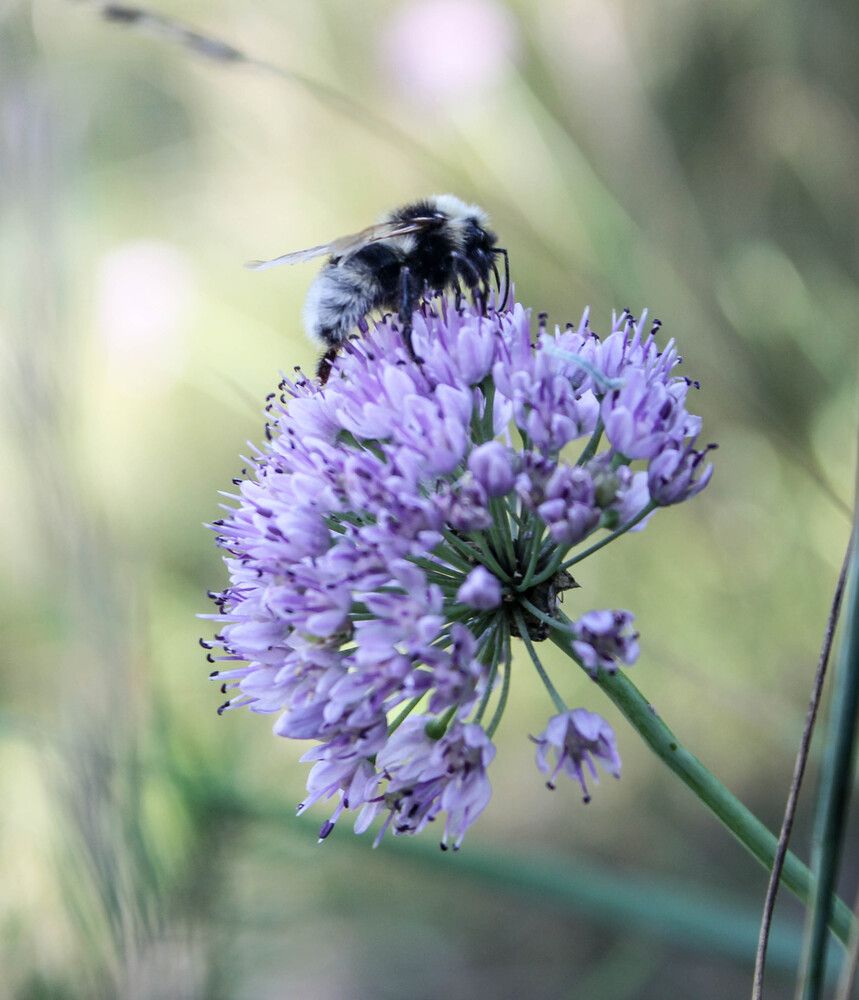 Photograph by Елена Поспелова