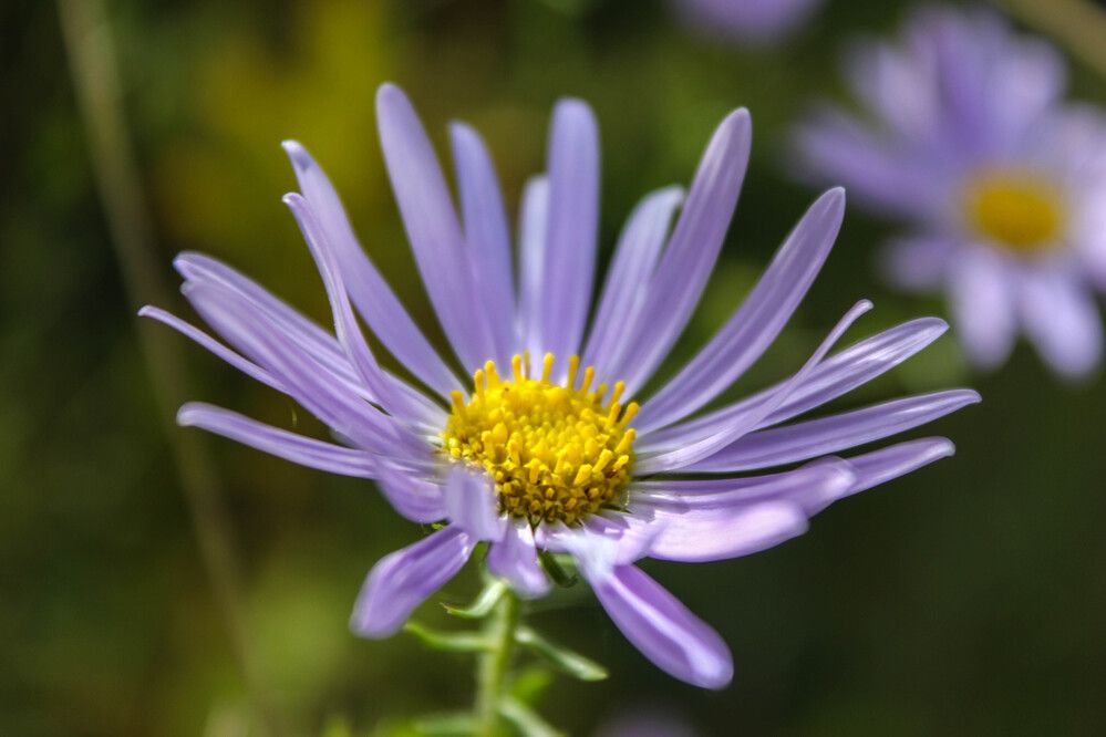 Photograph by Елена Поспелова