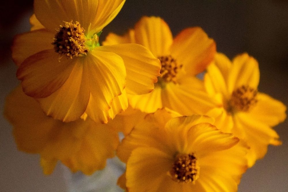 Photograph by Анна Зайченко