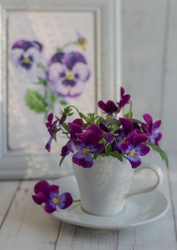 Photograph by Анна Зайченко