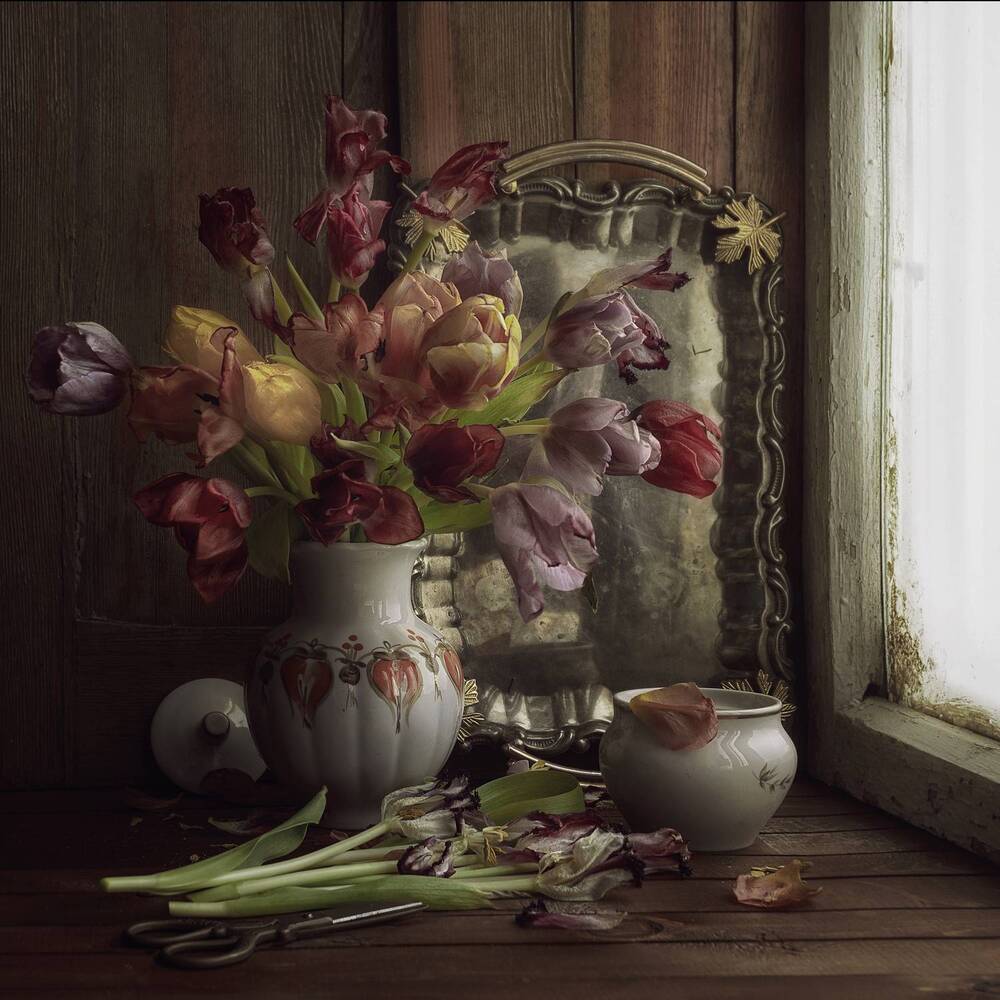 Фотография автора Viktoriya Shamanova