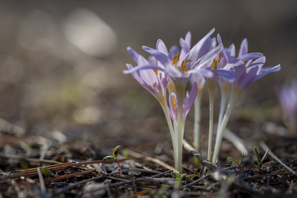Фотография автора Nikolay Tatarchuk