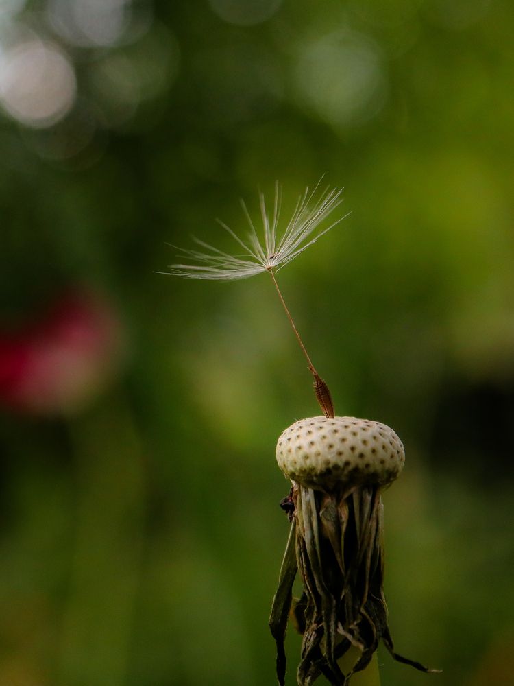 Photograph by Ирина Корабельникова