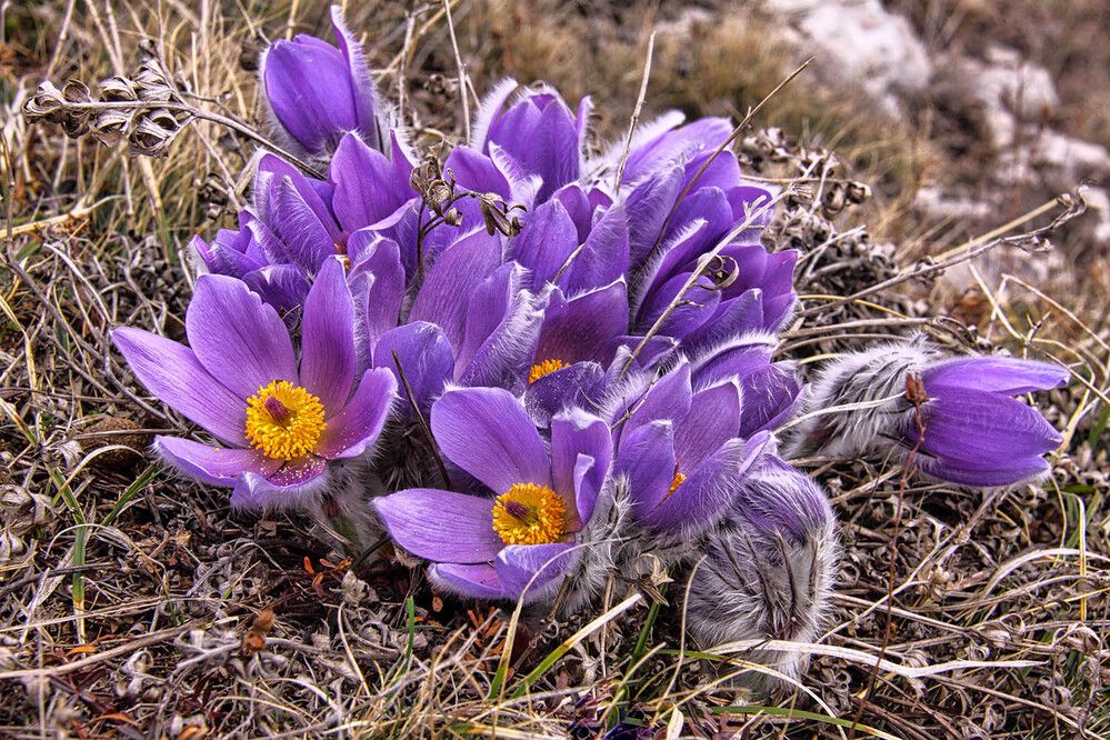 Photograph by Михаил Баевский