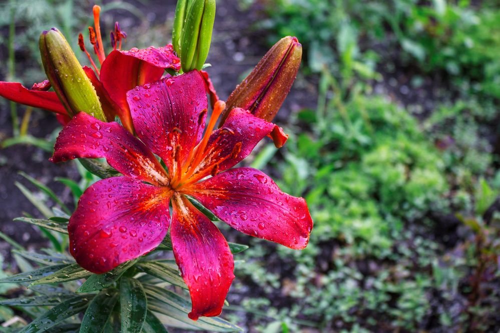 Photograph by Николай Владимирович