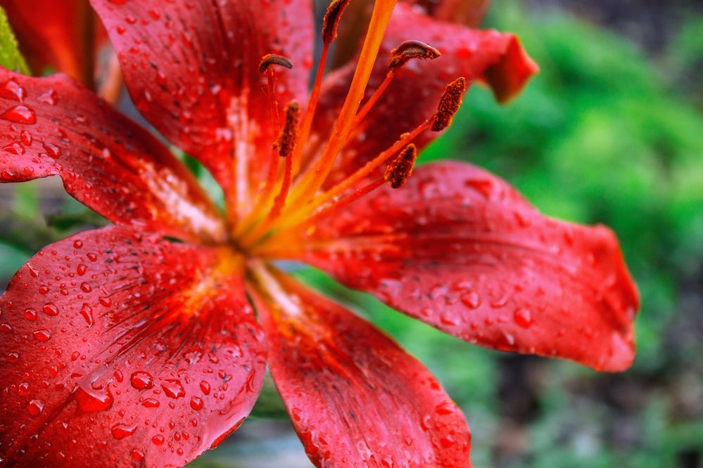 Photograph by Николай Владимирович