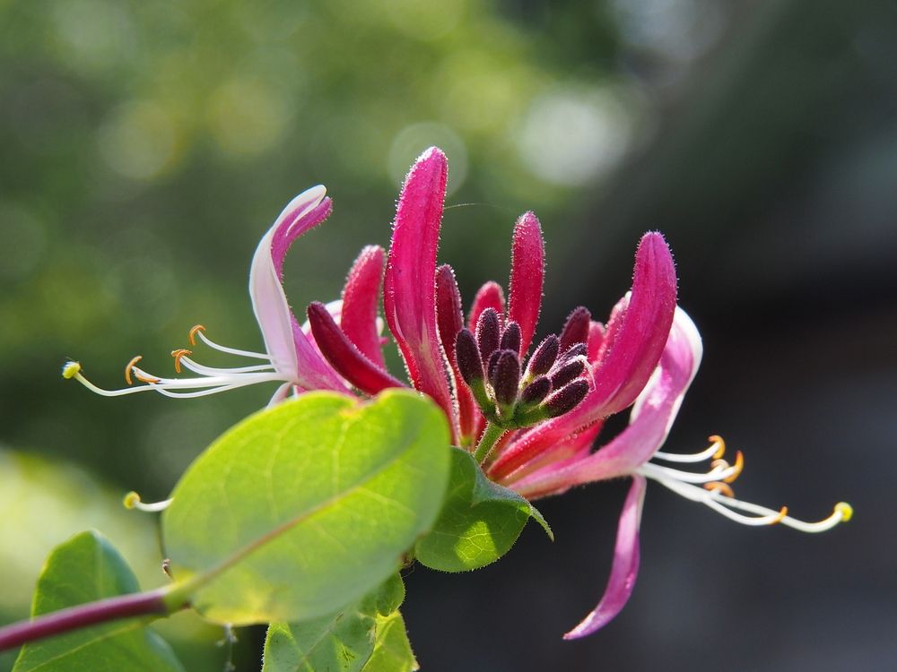 Photograph by Марианна Браун