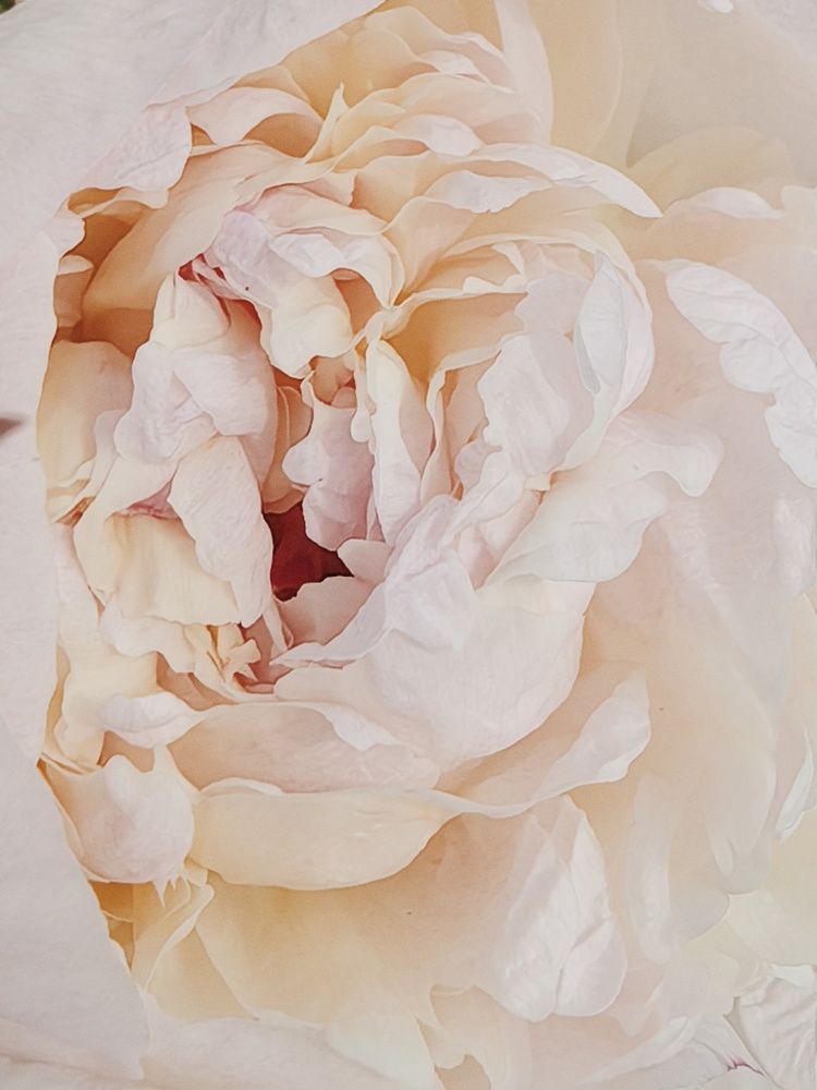 Photograph by Наталья Жуковская