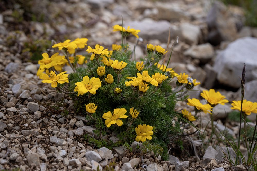 Photograph by Марат Кучкаев