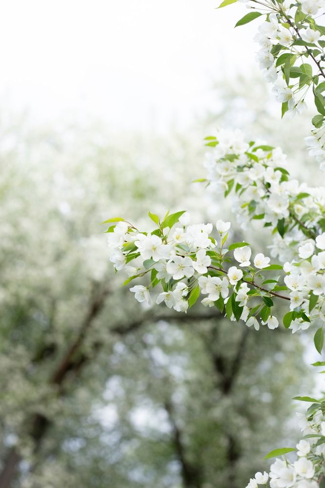 Photograph by Валерия Романова