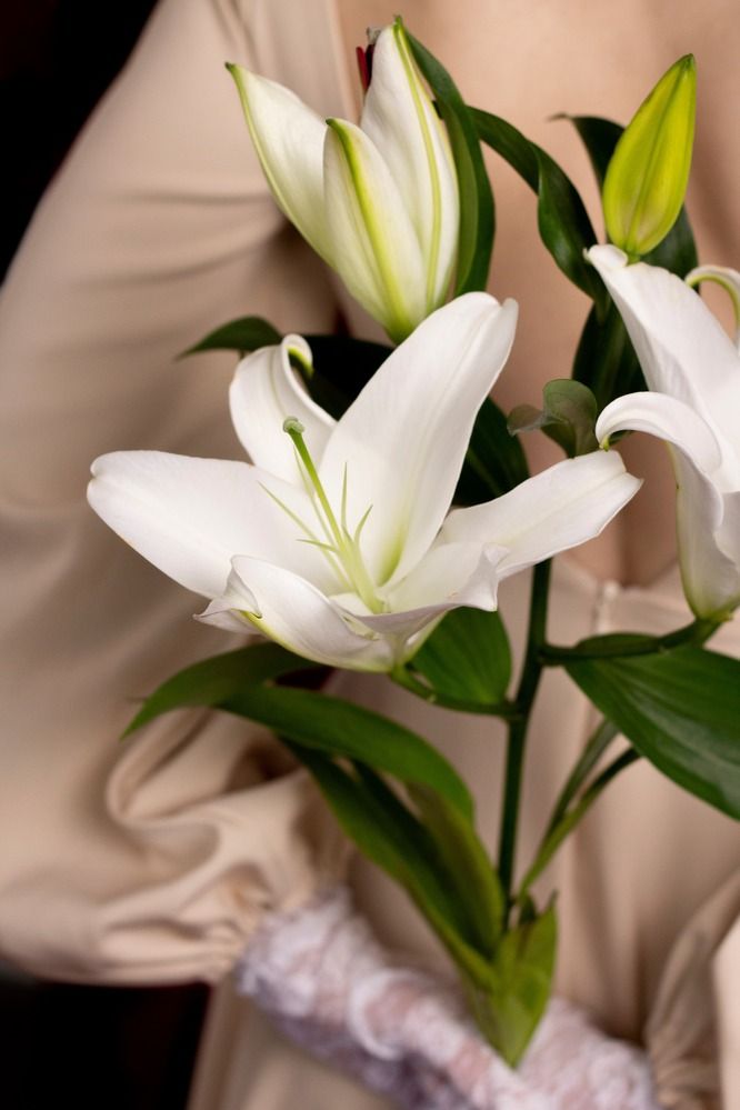 Photograph by Валерия Романова