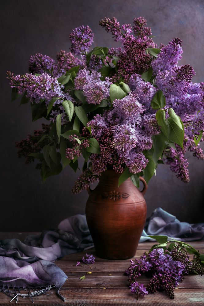 Photograph by Наталья Горохова