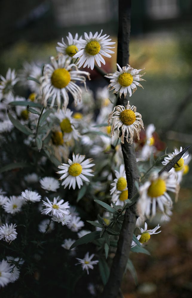 Photograph by Мария Серова