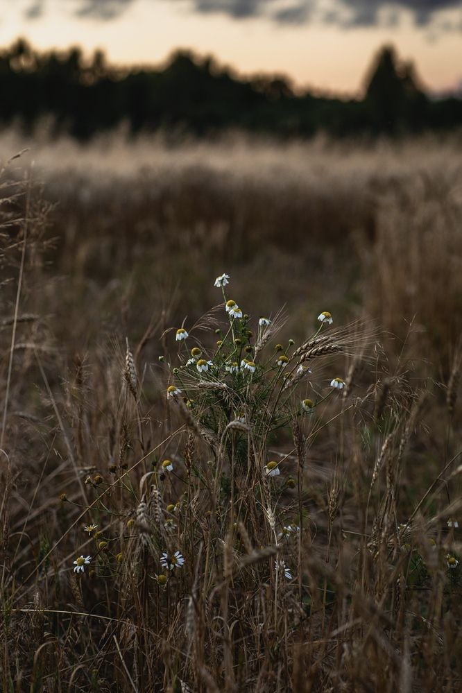 Photograph by Мария Серова