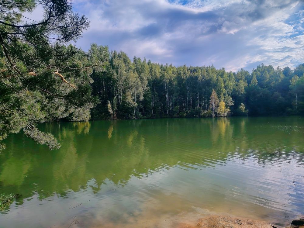 Photograph by Юлия Реутова