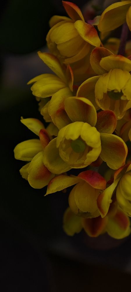 Photograph by Анна Курлова