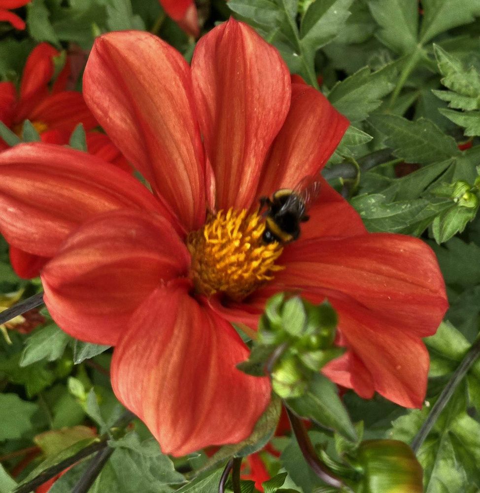 Photograph by Тамара Шкарупа