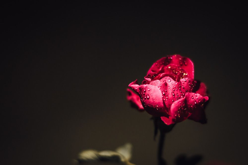 Фотография автора Arpit Dhore