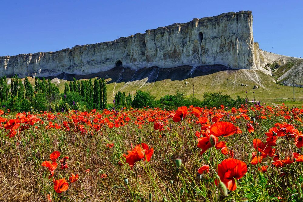 Photograph by Михаил Баевский