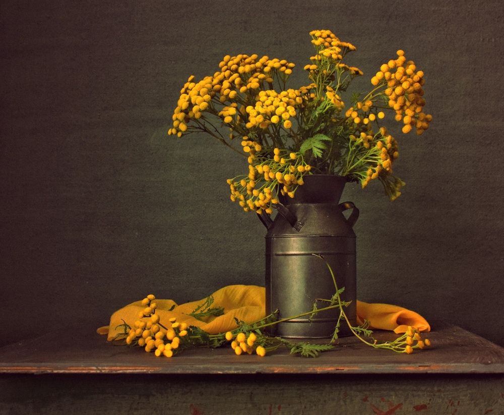 Photograph by Антонина Шабышева