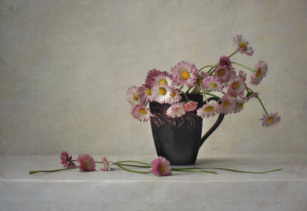 Photograph by Антонина Шабышева