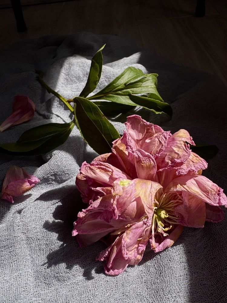 Photograph by Жанна Колесникова