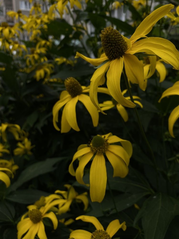 Photograph by Тамара