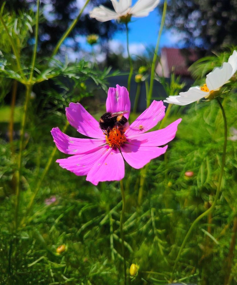 Photograph by Юлия Реутова