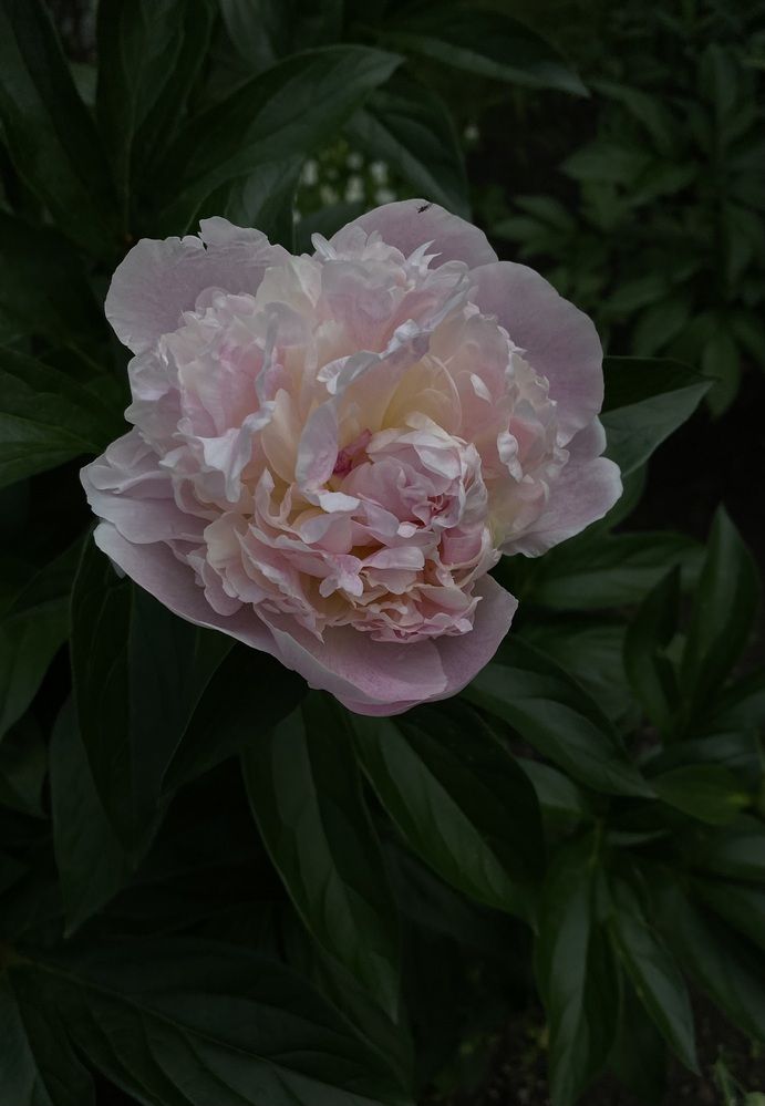 Photograph by Тамара