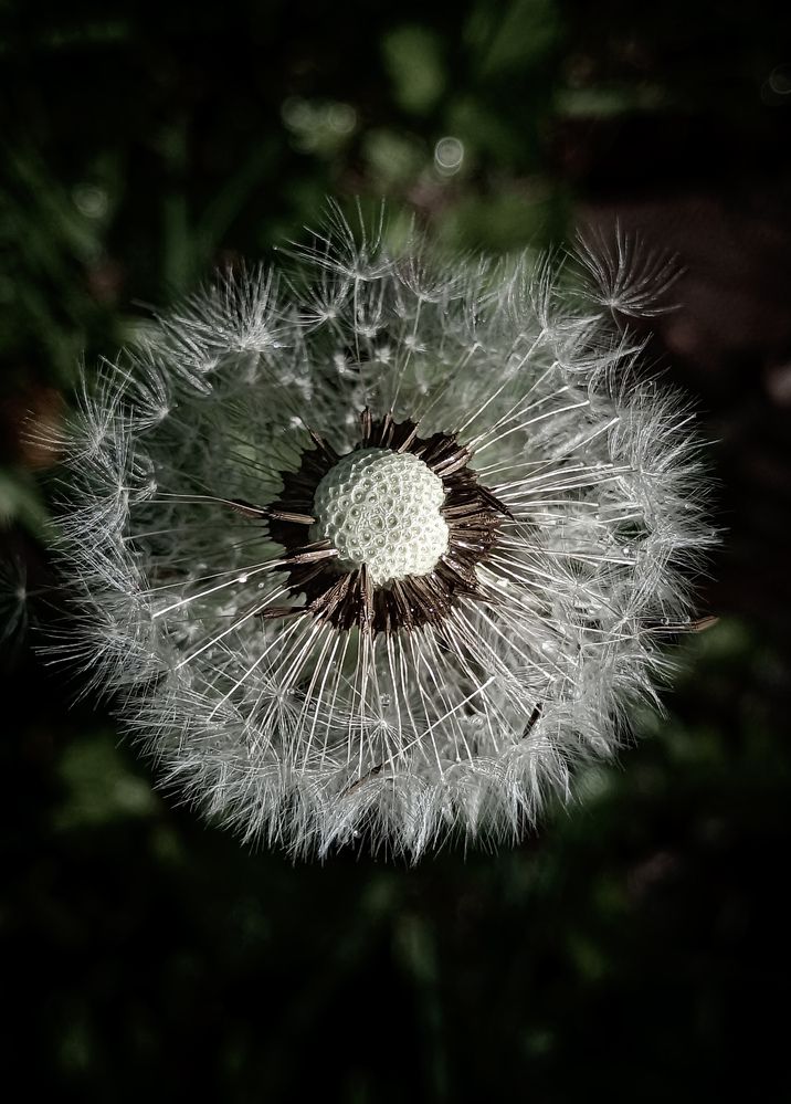 Фотография автора Ольга Кунакова