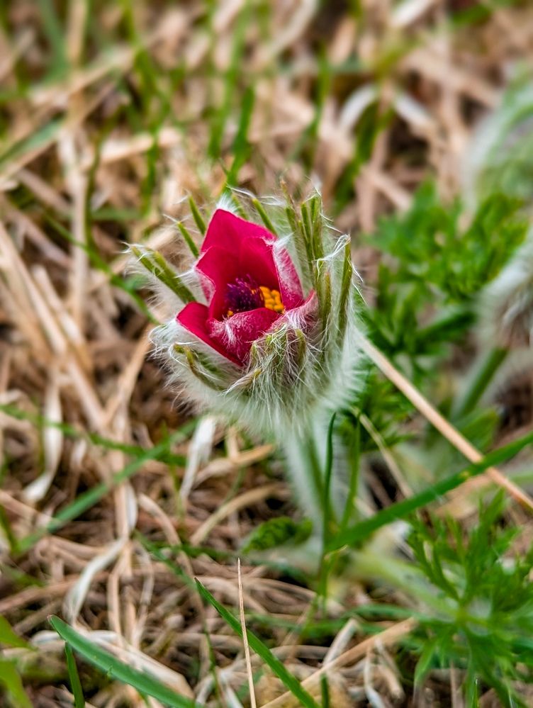 Photograph by Елизавета Коровина