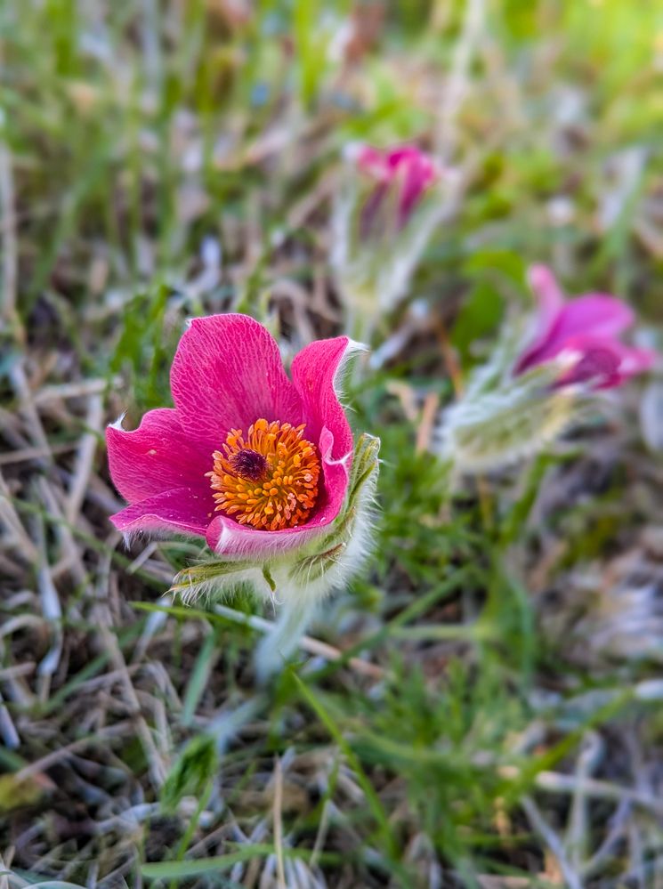 Photograph by Елизавета Коровина