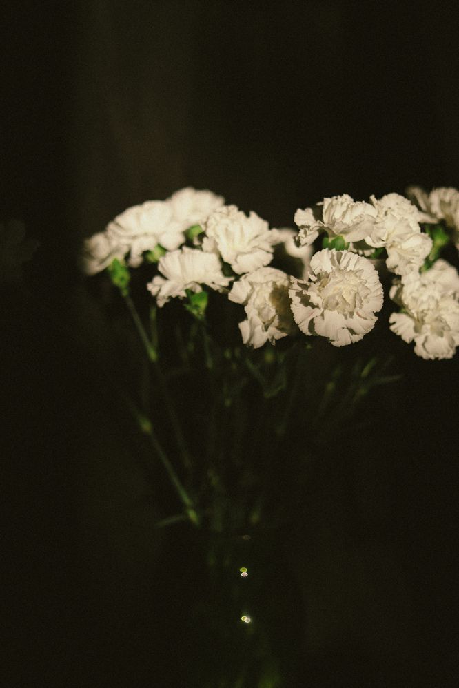 Photograph by Julia Smilovitsky