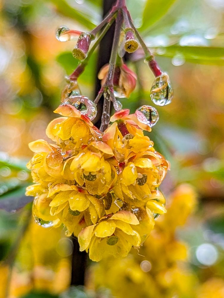 Photograph by Елизавета Коровина