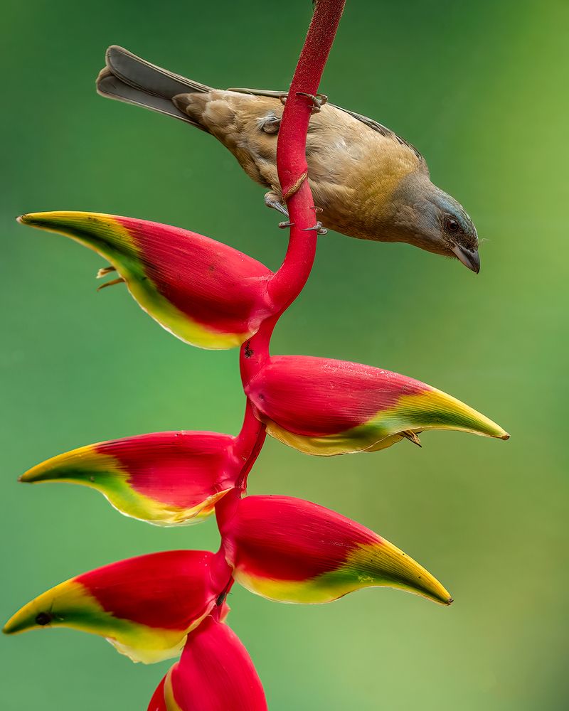 Photograph by Valdir Hobus