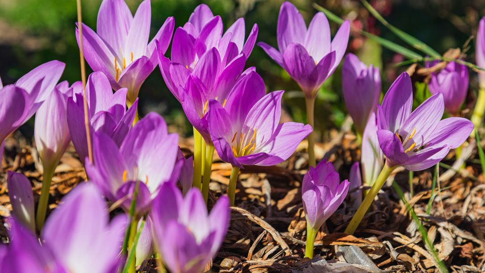 Photograph by Илья Ровинский