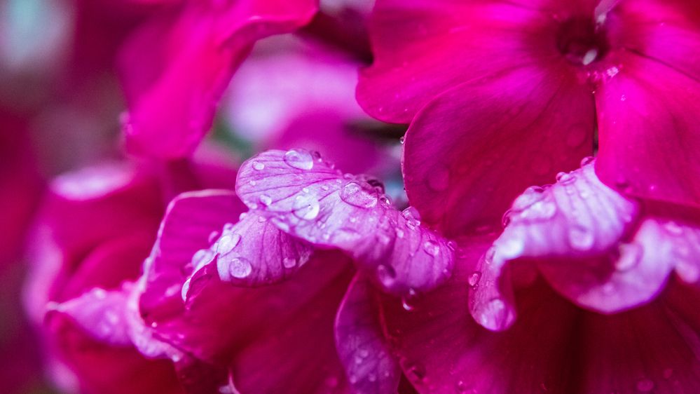 Photograph by Илья Ровинский