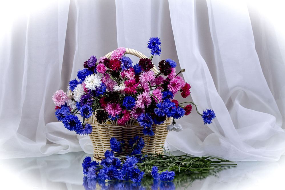 Photograph by Людмила Павловна