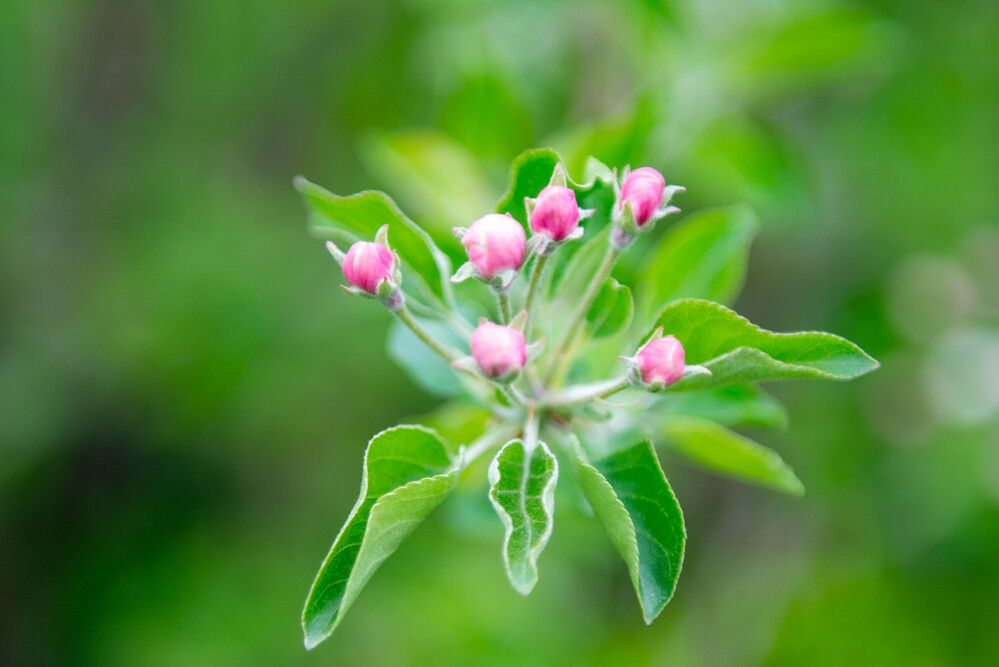 Photograph by Darina