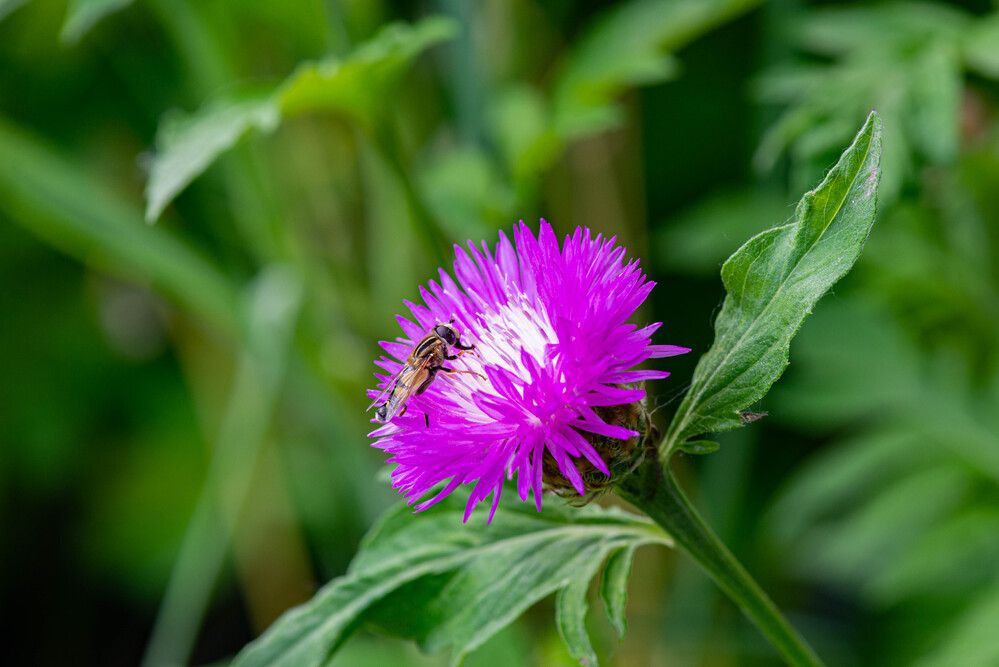 Photograph by Darina