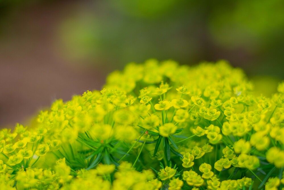 Photograph by Darina