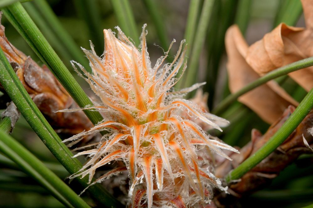 Photograph by Владимир Белобаба