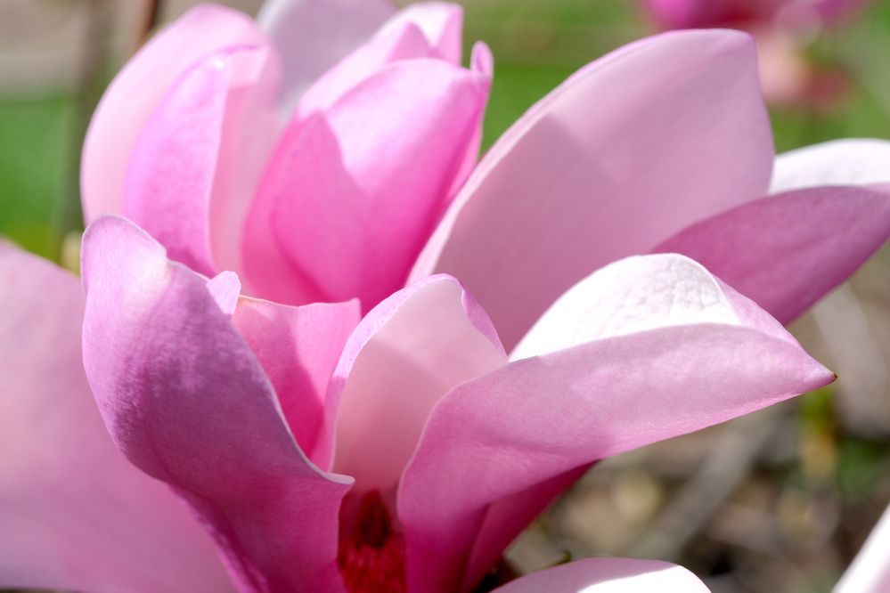 Photograph by Владимир Белобаба